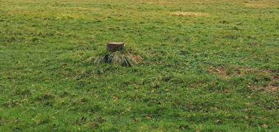 Terrain seul à Bergerac en Dordogne (24) de 1000 m² à vendre au prix de 25000€ - 1