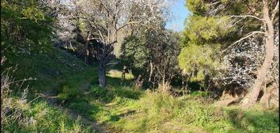 Terrain seul à Narbonne en Aude (11) de 345 m² à vendre au prix de 135900€ - 1