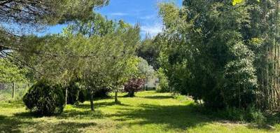 Terrain seul à La Salvetat-Saint-Gilles en Haute-Garonne (31) de 834 m² à vendre au prix de 198000€ - 2