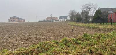 Terrain seul à Haute-Avesnes en Pas-de-Calais (62) de 503 m² à vendre au prix de 66396€ - 2