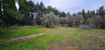 Terrain seul à Maussane-les-Alpilles en Bouches-du-Rhône (13) de 291 m² à vendre au prix de 166000€ - 4