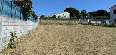 Terrain seul à Roquebrune-sur-Argens en Var (83) de 600 m² à vendre au prix de 254000€ - 3
