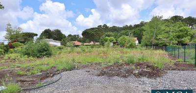 Terrain seul à Léon en Landes (40) de 885 m² à vendre au prix de 239000€ - 1