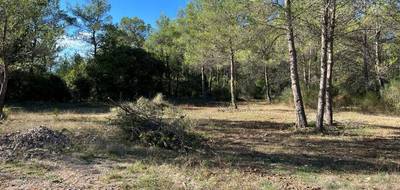 Terrain seul à Méounes-lès-Montrieux en Var (83) de 1200 m² à vendre au prix de 165000€ - 2