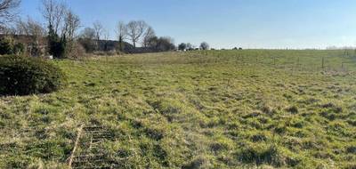 Terrain seul à Douchy-lès-Ayette en Pas-de-Calais (62) de 4000 m² à vendre au prix de 120000€ - 3