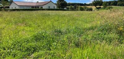 Terrain seul à Roannes-Saint-Mary en Cantal (15) de 900 m² à vendre au prix de 22500€ - 1