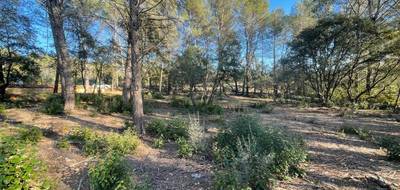 Terrain seul à Trans-en-Provence en Var (83) de 920 m² à vendre au prix de 189000€ - 1