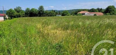 Terrain seul à Bonrepos en Hautes-Pyrénées (65) de 2326 m² à vendre au prix de 25000€ - 4