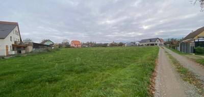 Terrain seul à Guémar en Haut-Rhin (68) de 380 m² à vendre au prix de 95000€ - 3