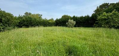 Terrain seul à Saint-Papoul en Aude (11) de 1373 m² à vendre au prix de 65500€ - 3