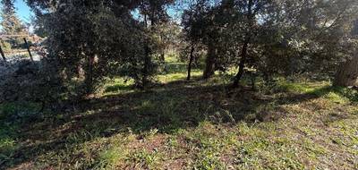 Programme terrain + maison à Puget-sur-Argens en Var (83) de 76 m² à vendre au prix de 383000€ - 3