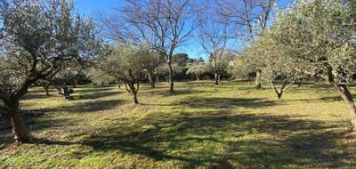 Programme terrain + maison à Salernes en Var (83) de 90 m² à vendre au prix de 269000€ - 4