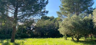 Terrain seul à Le Pouget en Hérault (34) de 1000 m² à vendre au prix de 244900€ - 2