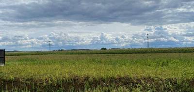 Terrain seul à Wailly en Pas-de-Calais (62) de 1166 m² à vendre au prix de 65900€ - 2