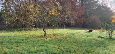 Terrain seul à Domart-en-Ponthieu en Somme (80) de 1200 m² à vendre au prix de 34000€ - 3