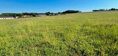 Terrain seul à Bassac en Charente (16) de 4000 m² à vendre au prix de 45000€ - 1