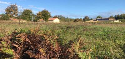 Terrain seul à Labastide-d'Armagnac en Landes (40) de 1566 m² à vendre au prix de 25000€ - 1