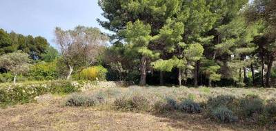 Terrain seul à Sanary-sur-Mer en Var (83) de 500 m² à vendre au prix de 460000€ - 2