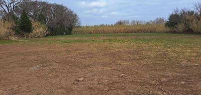 Terrain seul à Saint-Martin-de-Crau en Bouches-du-Rhône (13) de 890 m² à vendre au prix de 210000€ - 3