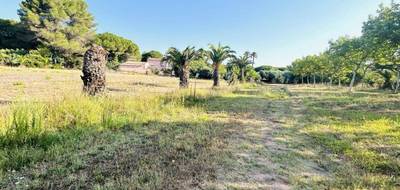 Terrain seul à Fréjus en Var (83) de 1226 m² à vendre au prix de 319000€ - 2