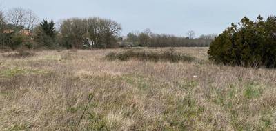 Terrain seul à Pont-l'Abbé-d'Arnoult en Charente-Maritime (17) de 300 m² à vendre au prix de 39500€ - 2