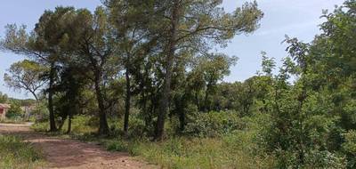 Terrain seul à Le Cannet-des-Maures en Var (83) de 900 m² à vendre au prix de 139000€ - 1