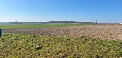 Terrain seul à Haute-Avesnes en Pas-de-Calais (62) de 468 m² à vendre au prix de 61776€ - 1