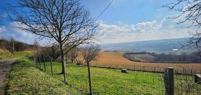 Terrain seul à Chuzelles en Isère (38) de 781 m² à vendre au prix de 200000€ - 4