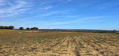 Terrain seul à Saint-Papoul en Aude (11) de 344 m² à vendre au prix de 54900€ - 4