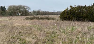 Terrain seul à Pont-l'Abbé-d'Arnoult en Charente-Maritime (17) de 404 m² à vendre au prix de 54420€ - 1