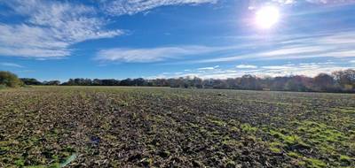 Terrain seul à Pomps en Pyrénées-Atlantiques (64) de 1160 m² à vendre au prix de 39500€ - 1