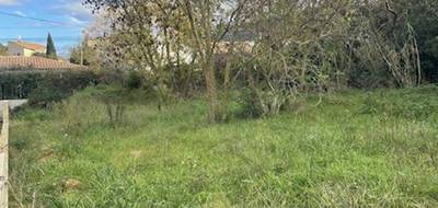 Terrain seul à La Penne-sur-Huveaune en Bouches-du-Rhône (13) de 550 m² à vendre au prix de 296000€ - 4