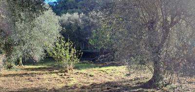 Terrain seul à La Trinité en Alpes-Maritimes (06) de 690 m² à vendre au prix de 250000€ - 1