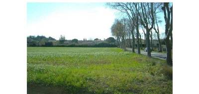 Terrain seul à Lieuran-lès-Béziers en Hérault (34) de 650 m² à vendre au prix de 94000€ - 3