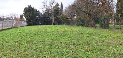 Terrain seul à Colomiers en Haute-Garonne (31) de 800 m² à vendre au prix de 279000€ - 1