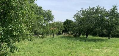 Terrain seul à Cugnaux en Haute-Garonne (31) de 1500 m² à vendre au prix de 230000€ - 1