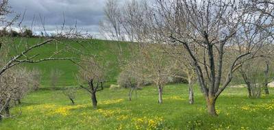 Terrain seul à Le Cabanial en Haute-Garonne (31) de 1400 m² à vendre au prix de 35000€ - 1