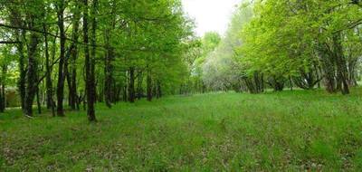 Terrain seul à Cartelègue en Gironde (33) de 1950 m² à vendre au prix de 58500€ - 1