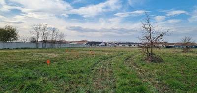 Programme terrain + maison à Lavernose-Lacasse en Haute-Garonne (31) de 166 m² à vendre au prix de 397000€ - 4