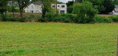 Terrain seul à Samoreau en Seine-et-Marne (77) de 315 m² à vendre au prix de 35000€ - 4