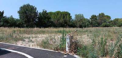 Terrain seul à Le Triadou en Hérault (34) de 500 m² à vendre au prix de 239000€ - 2