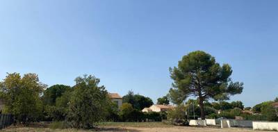 Terrain seul à Paulhan en Hérault (34) de 300 m² à vendre au prix de 104900€ - 1