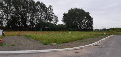 Programme terrain + maison à Douvrin en Pas-de-Calais (62) de 80 m² à vendre au prix de 212000€ - 4