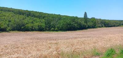 Terrain seul à Montjoire en Haute-Garonne (31) de 1018 m² à vendre au prix de 107500€ - 1