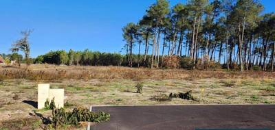 Terrain seul à Pissos en Landes (40) de 555 m² à vendre au prix de 74000€ - 1