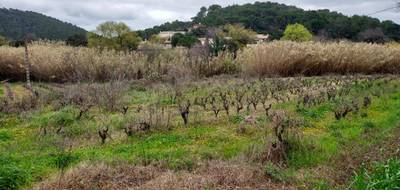 Terrain seul à Pierrefeu-du-Var en Var (83) de 643 m² à vendre au prix de 189000€ - 4