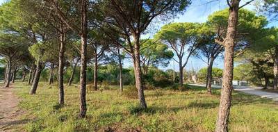 Terrain seul à Puget-sur-Argens en Var (83) de 656 m² à vendre au prix de 250000€ - 3