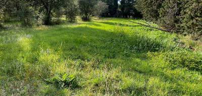 Terrain seul à Grillon en Vaucluse (84) de 802 m² à vendre au prix de 120000€ - 4