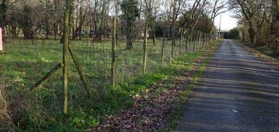 Terrain seul à Cartelègue en Gironde (33) de 1950 m² à vendre au prix de 58500€ - 3