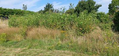 Terrain seul à Fronton en Haute-Garonne (31) de 590 m² à vendre au prix de 75000€ - 3